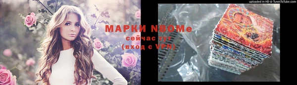 индика Нефтегорск
