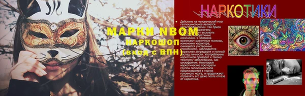 индика Нефтегорск