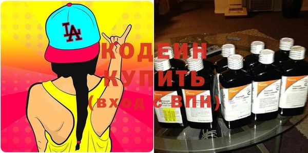индика Нефтегорск